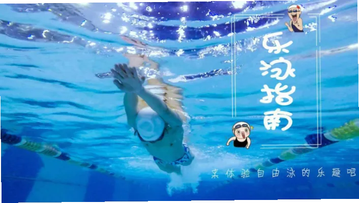 游泳夹板划手，基础动作你做对了吗？